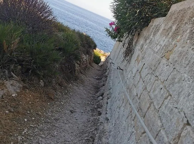 Vento In Poppa * פלמיריו